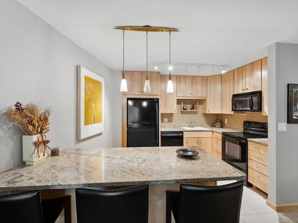 210 W Grant St APT 216, Minneapolis, MN 55403