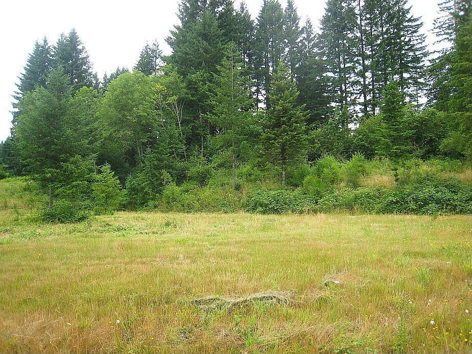 2nd image of 62 Thompson Dr