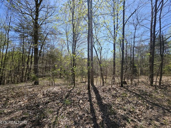 170 Bluff View Rd, New Tazewell, TN 37825