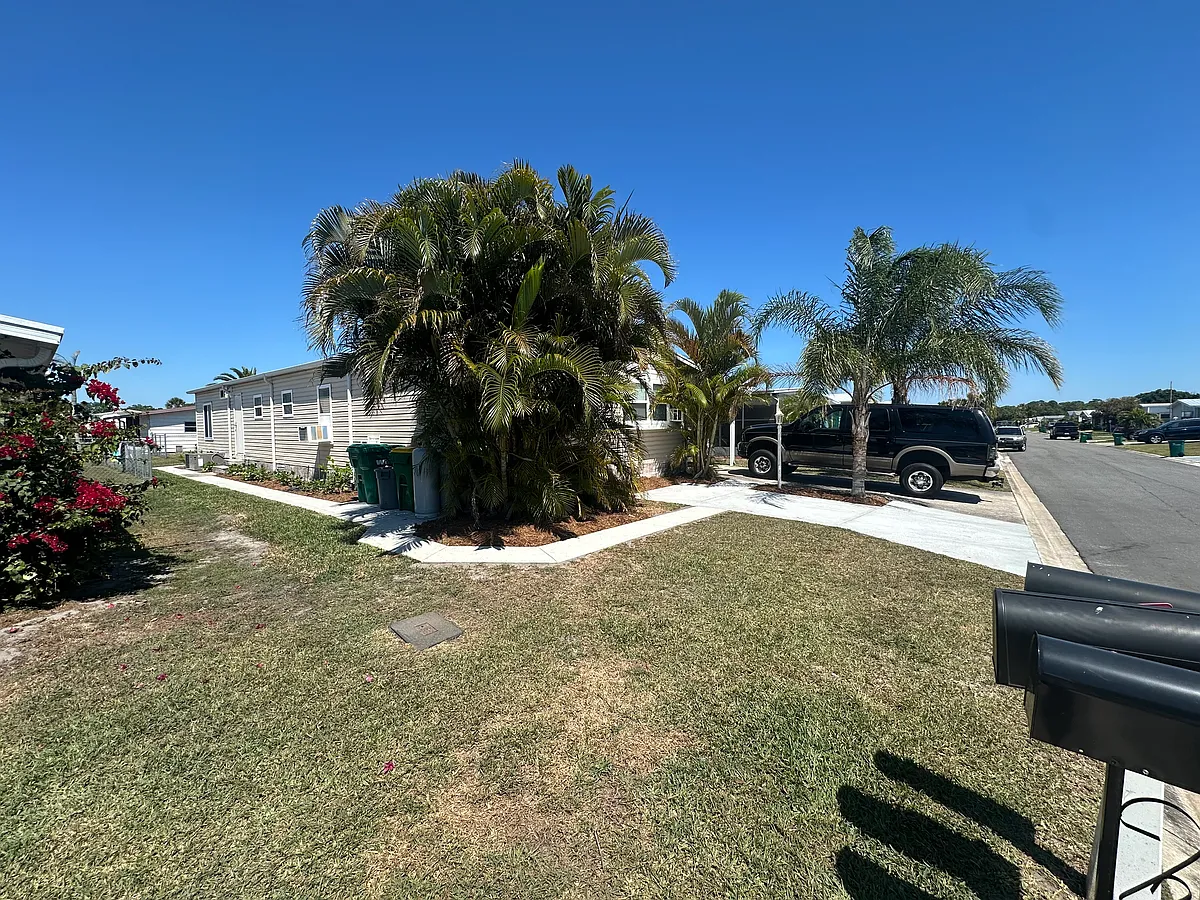 Your sidewalk - Note the freeze this February hurt the Arreca Palm Doctoring it now. - 520 Puffin Dr