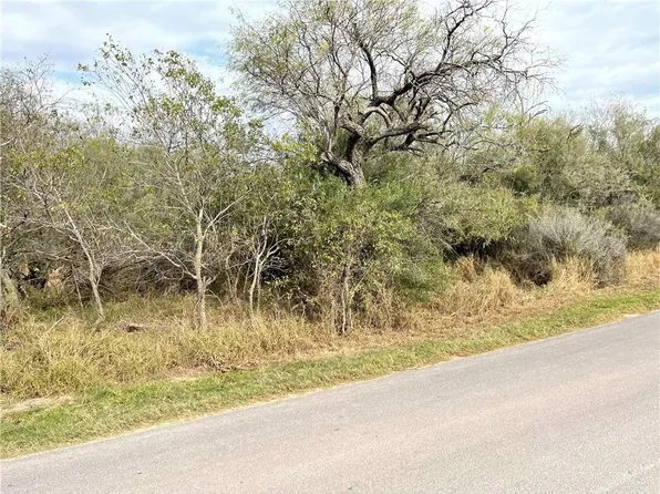 N/a S Moon Lake Dr, Weslaco, TX 78596