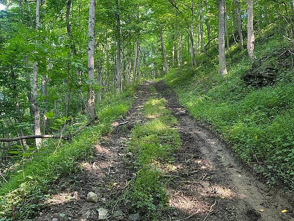 2nd image of 0 Ella Hollow Rd