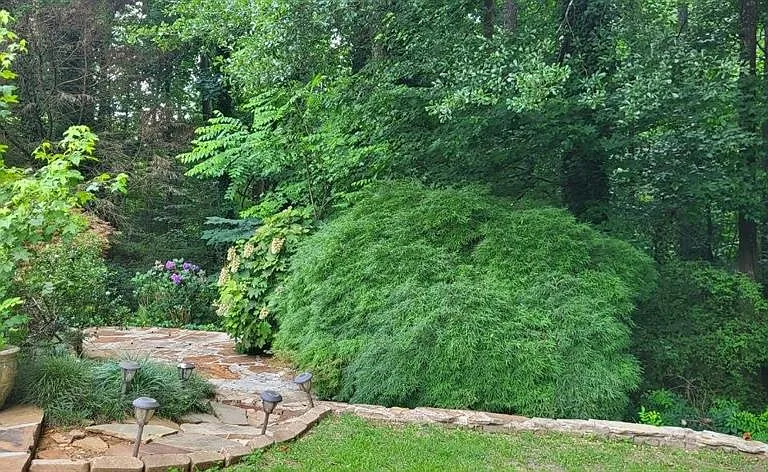 2280 Chelmsford Ct — Photo 5
