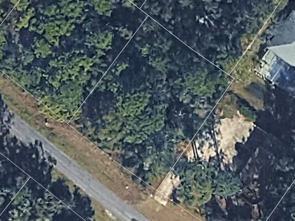 8749 N Upland Drive, Citrus Springs, FL 34434