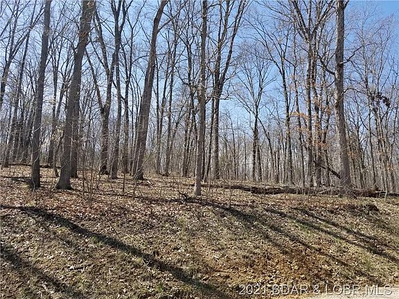 4th image of 1453 Imperial Point Dr