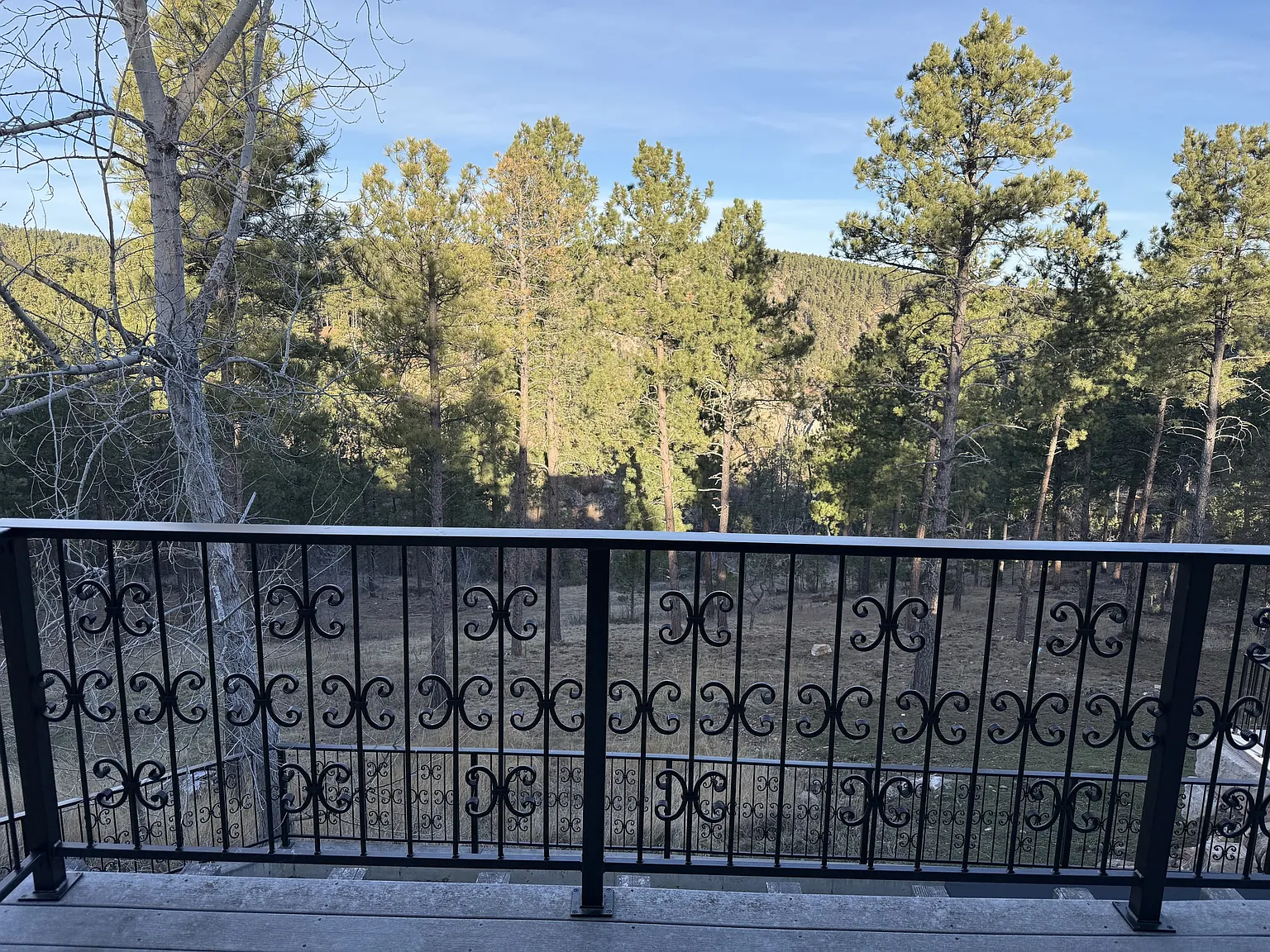 13646 Twisted Pines Trail - 1 — Photo 3
