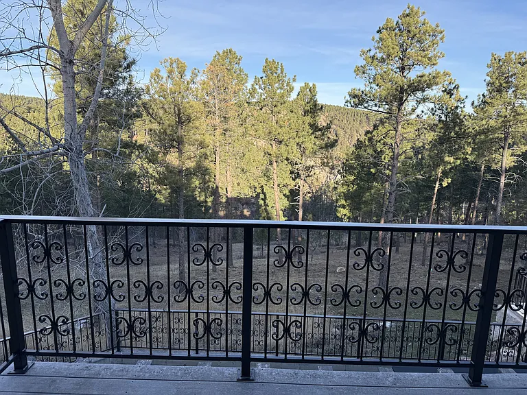 13646 Twisted Pines Trl #1 — Photo 3