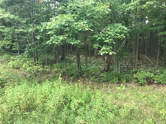 5th image of 0 County Route 100