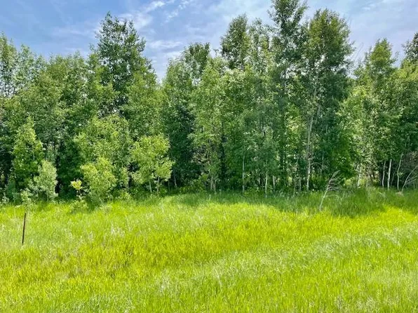 T134 R37 Sec30/hwy 67 Hwy #67, Henning, MN 56551