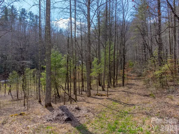 Little Snowbird Rd, Robbinsville, NC 28771