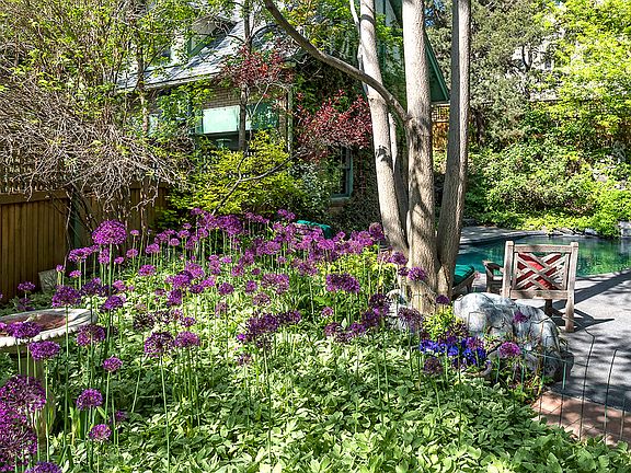 Flower Gardens