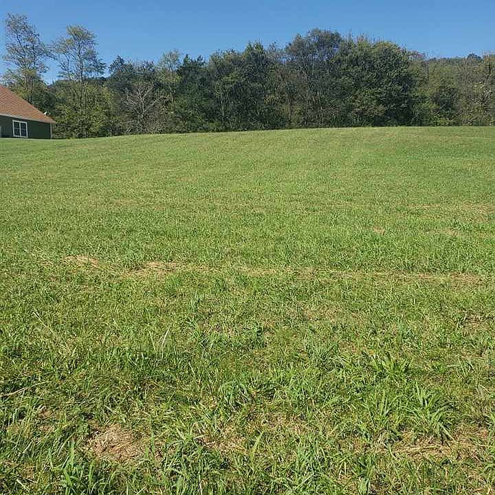 2nd image of W Dumplin Valley Rd