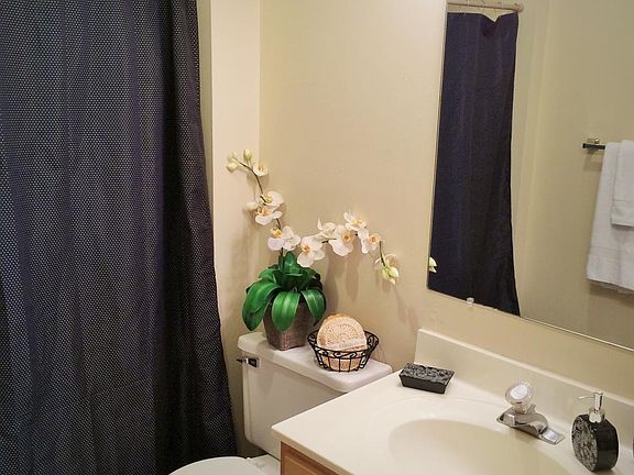 5th image of 5003 Trace Manor Ln