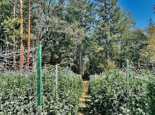 1720 Brady Rd, Hayfork, CA 96041