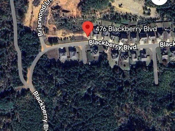 476 Blackberry Blvd #511, Springville, AL 35146