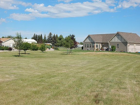 Back Yard with fruit trees.