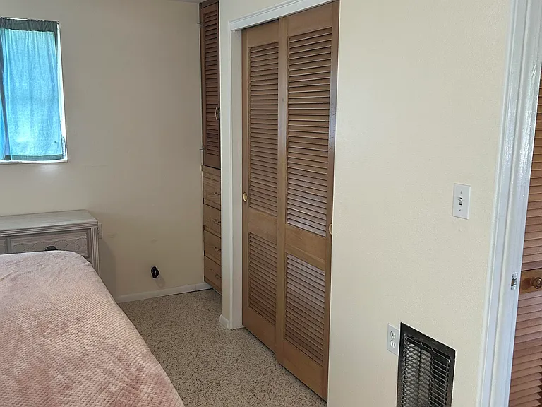 BR #1 closet & built in dresser