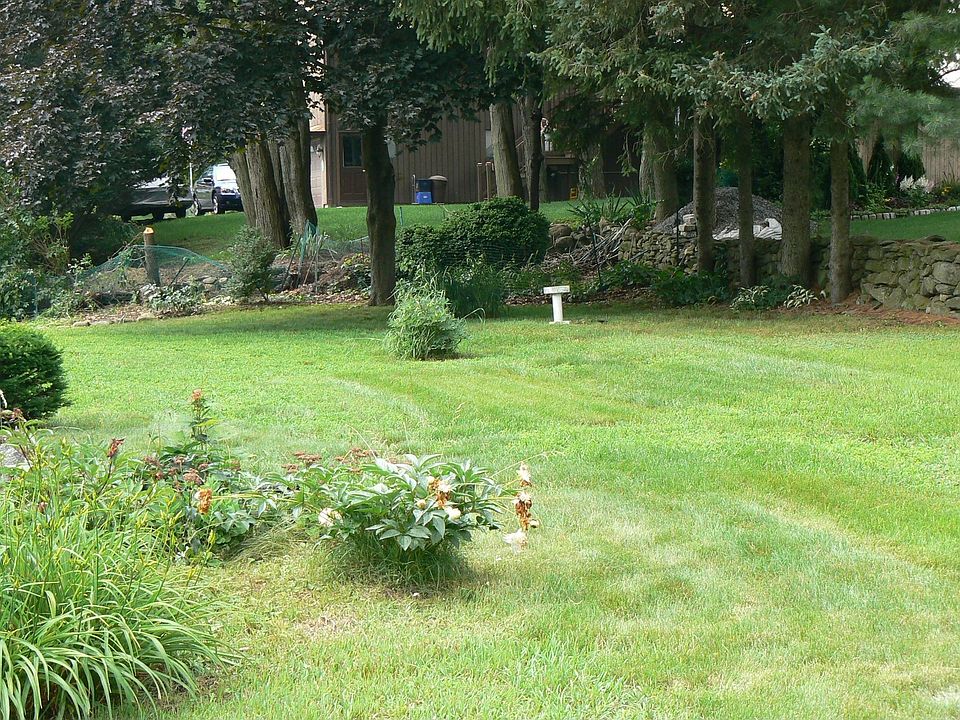 yard