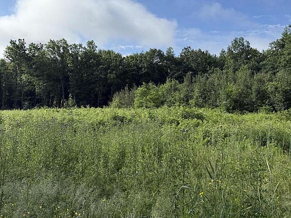 2nd image of Lt1 HWY Z #21
