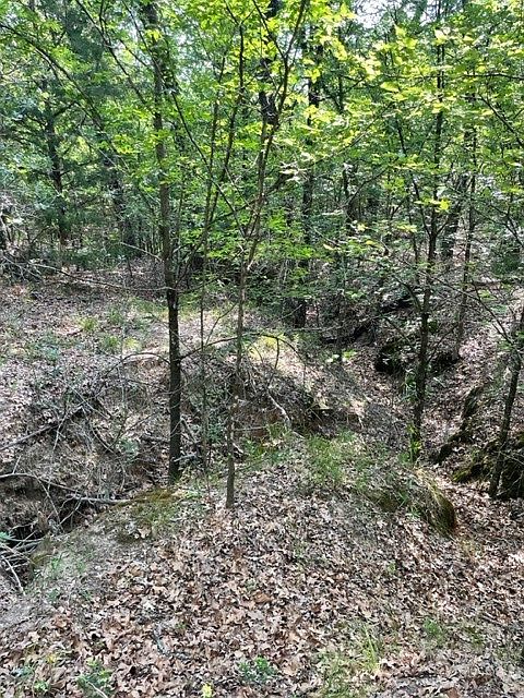1st image of 870 County Road 3592