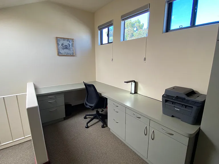 Home office with lots of natural light from skylight and over desk windows