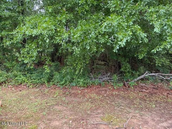 0 W Norwood Old Enoch Rd, Florence, MS 39073