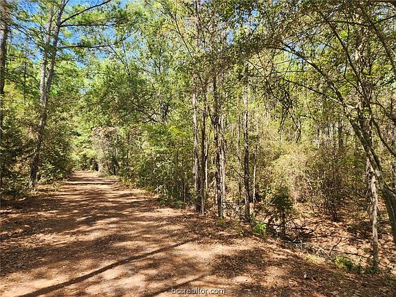 3rd image of LOT 25 Honeylocust Ln