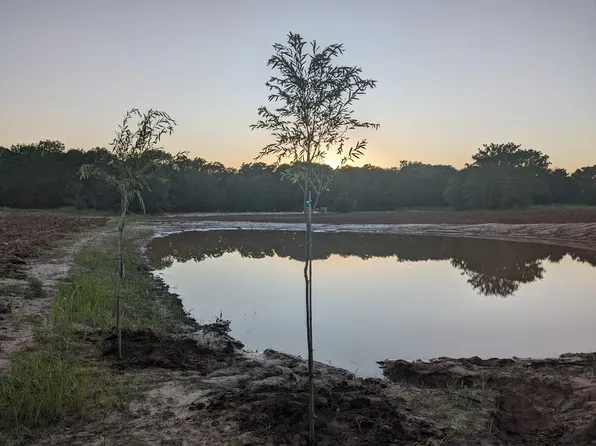 268 Private Road 3427, Bridgeport, TX 76426