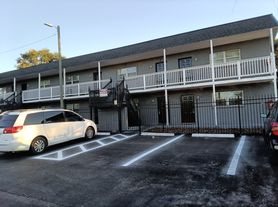 909 E Lotus Ave, Tampa, FL