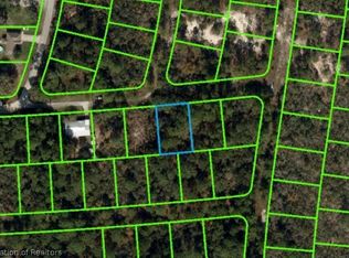 233 Howell Ct, Lake Placid, FL 33852