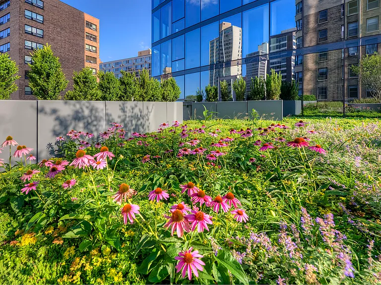 2950 North Sheridan — Photo 10