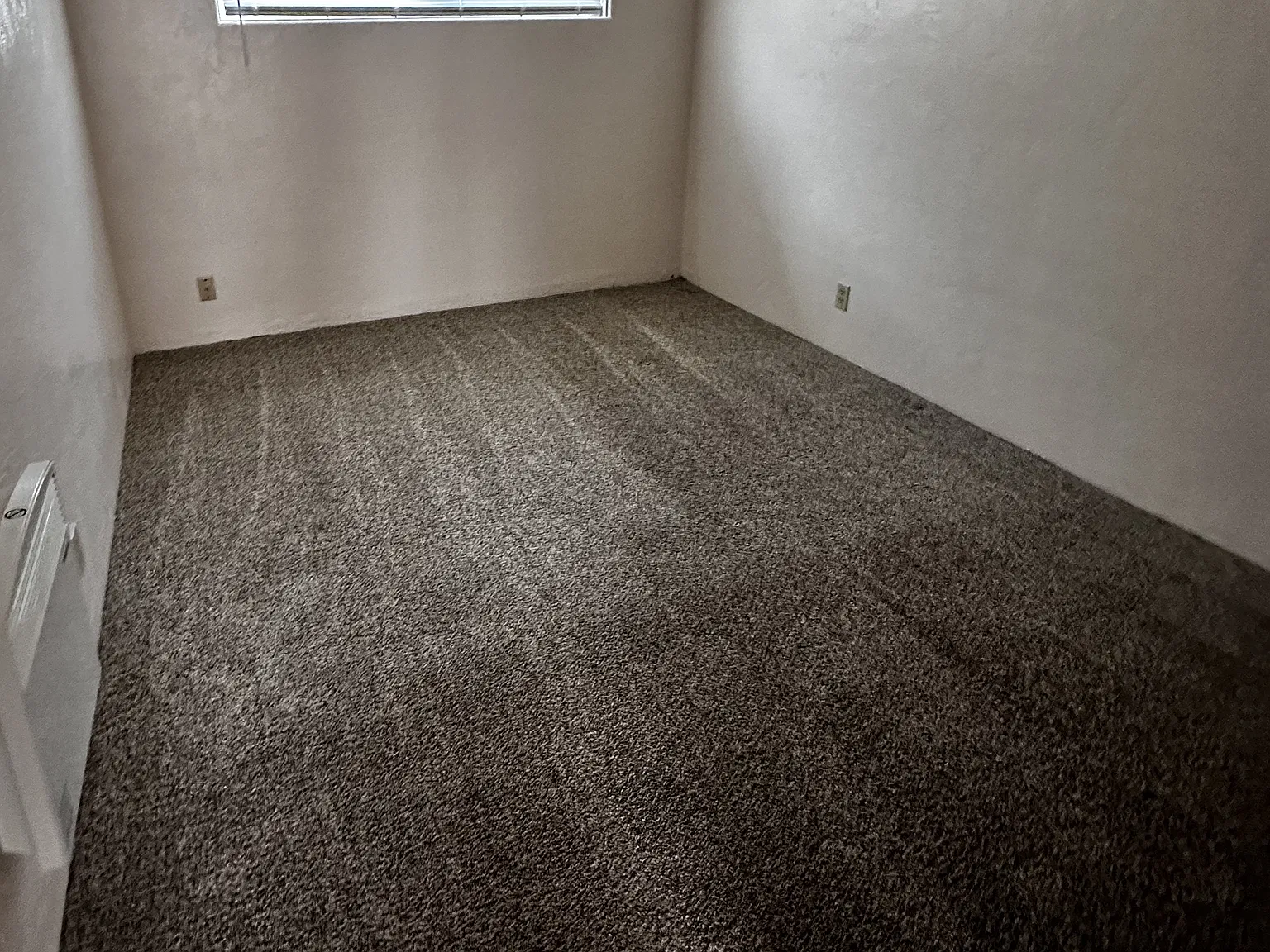 2 bed, 1.0 bath, 617 sqft, $1,100 — Photo 3