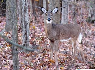 119 Tumbleweed Dr, Long Pond, PA 18334