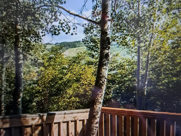 980 Vail View Dr Unit 11-000, Vail, CO 81657