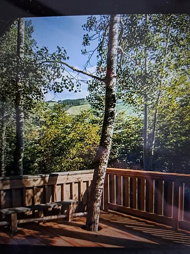 980 Vail View Dr #11-000 Photo 1