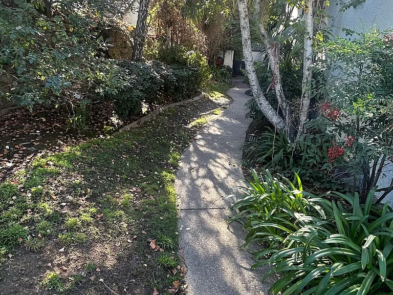 3098 Dragonfly St — Photo 35