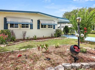 919 Weeping Willow Ave, Lady Lake, FL 32159