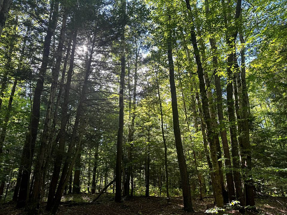 1st image of 1 Bull Run Rd #1