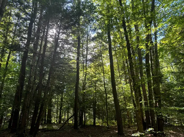 1 Bull Run Rd #1, Altmar, NY 13302