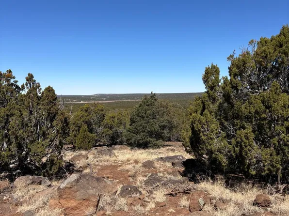 30 County Rd, Concho Valley, AZ 85924