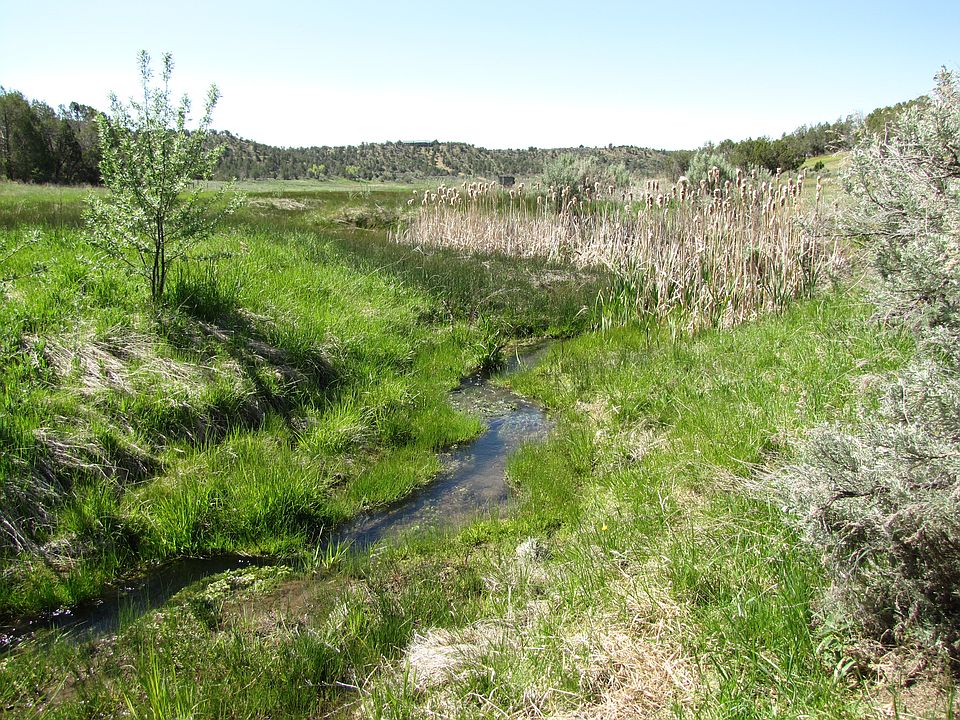 Spring Hollow 