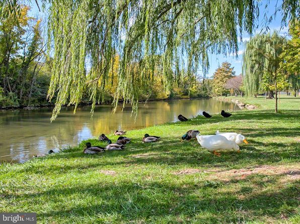 frederick-maryland-446969590 picture