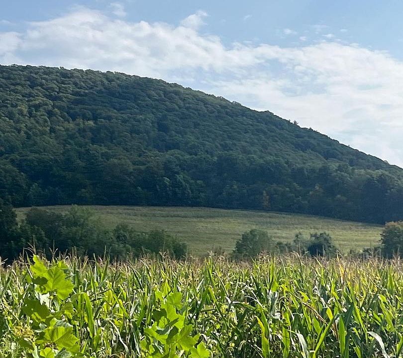 1st image of 0 Ridge Rd