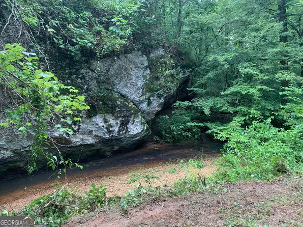 0 County Road 14, Muscadine, AL 36269