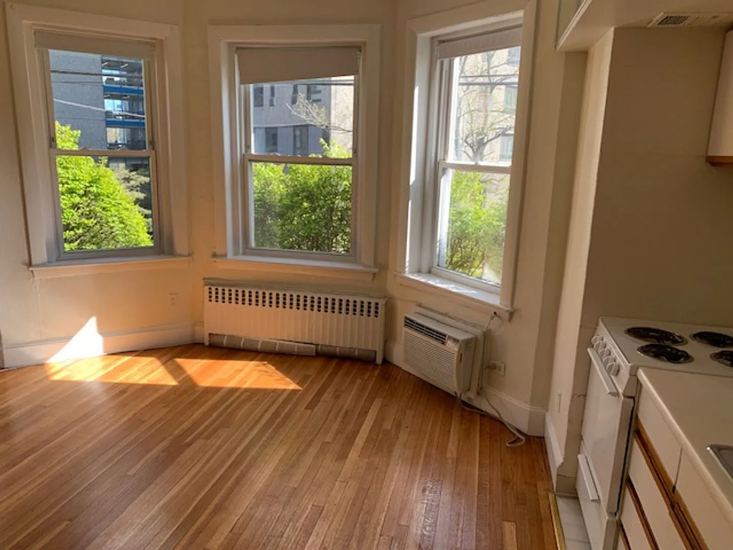 Spacious Brookline Single Available 9/1/2026 — Photo 1