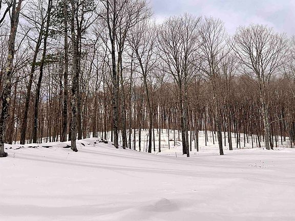 5th image of 119 Advent Hill Road