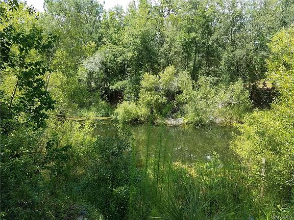 4th image of 10115 W Pamondeho Cir