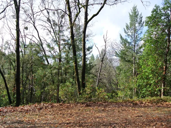 5588 Pine Ridge Rd, Foresthill, CA 95631