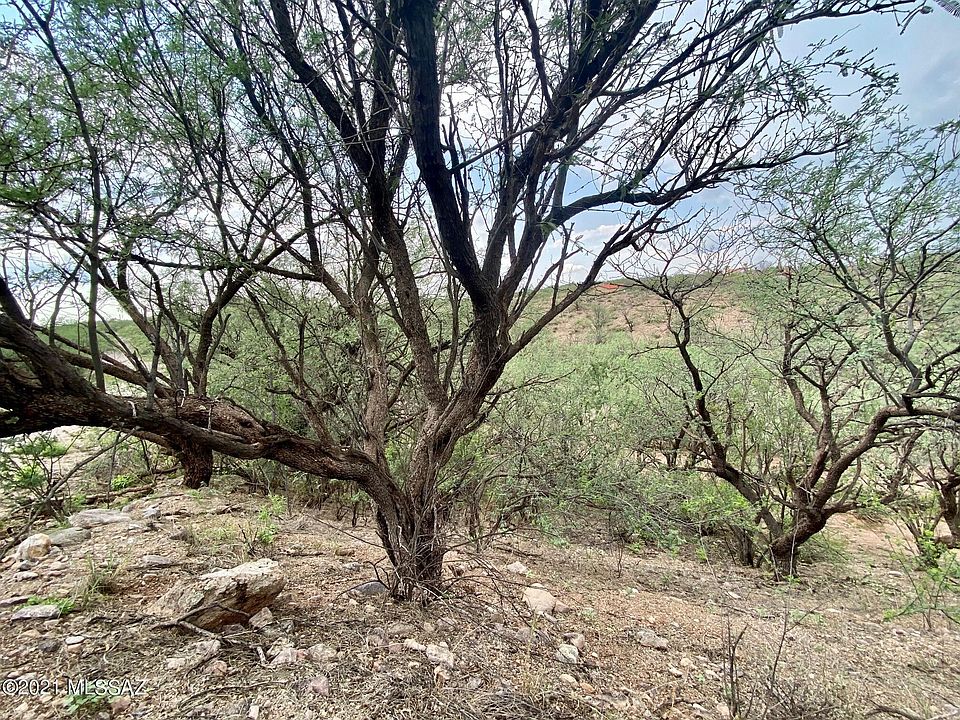 2nd image of 987 Alegre Corte 7