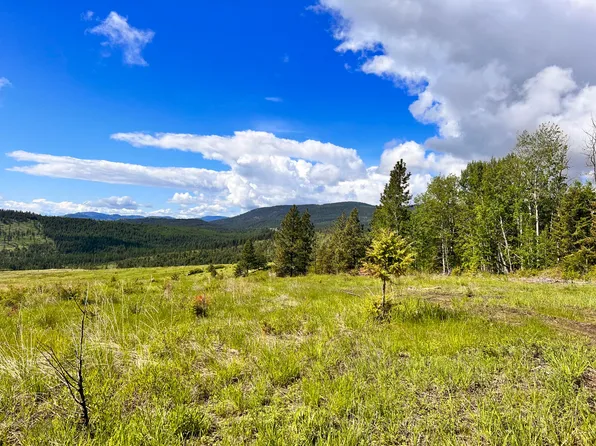 45 Moonlight Dr, Curlew, WA 99118